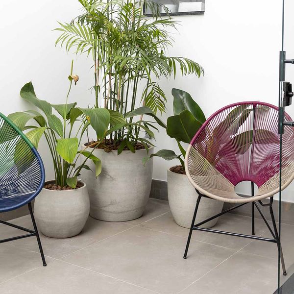 2025_poltrona_acapulco_fendi_marsala