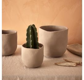 cachepot ambiente