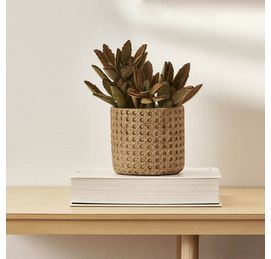 cachepot-ambiente