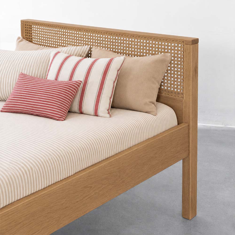 xg1